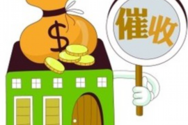 长沙望城有讨债公司吗?揭秘讨债行业现状及选择 长沙望城有讨债公司吗?揭秘讨债行业现状及选择