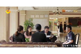 南京市讨债律师推荐:助您高效解决债务纠纷 南京市讨债律师推荐:助您高效解决债务纠纷