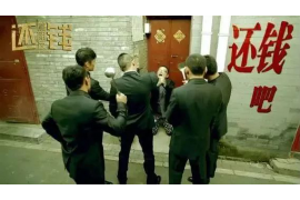 金融公司催收无果:揭秘债务追讨困境 金融公司催收无果:揭秘债务追讨困境