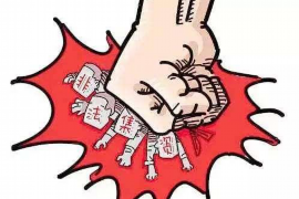 京东金融天津催收：揭秘金融服务平台的风险管理与催收策略