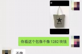 龙马潭要债公司收费标准揭秘:合理合法,透明公开 龙马潭要债公司收费标准揭秘:合理合法,透明公开