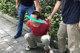 反催收知识讲解 反催收知识讲解